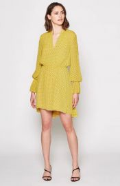 joie daevon dress at Joie