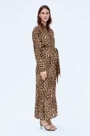 long animal print dress at Zara