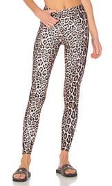 onzie High Rise Legging in Leopard from Revolve com at Revolve