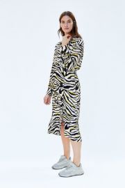 zebra printed dress at Zara