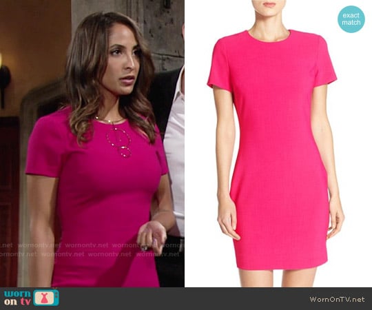 Likely Manhattan Dress in Fuchsia worn by Lily Winters (Christel Khalil) on The Young and the Restless