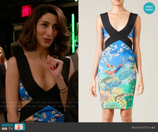 Mary Katrantzou Jazzy Dress worn by Delia (Necar Zadegan) on Girlfriends Guide to Divorce