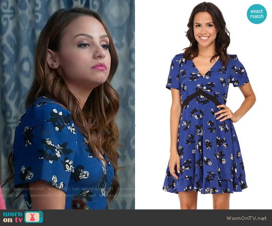 Rebecca Taylor 'Alyssum' Print Dress worn by Sofia Rodriguez (Aimee Carrero) on Young and Hungry