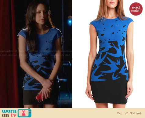 Alexander McQueen Cap Sleeve Swallow Print Dress worn by Naya Rivera on Glee