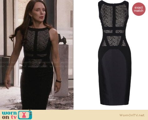 Antonio Berardi Lace Panel Dress worn by Madeleine Stowe on Revenge