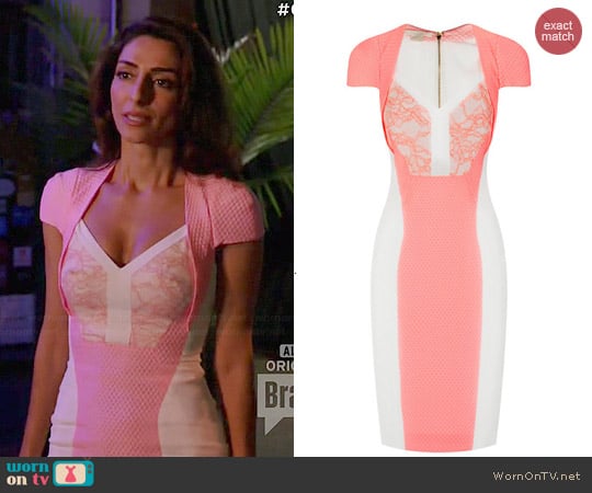 Antonio Berardi Lace Panel Dress worn by Delia (Necar Zadegan) on Girlfriends Guide to Divorce