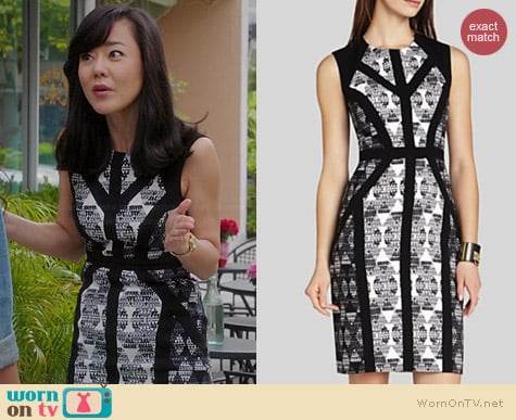 Bcbgmaxazria Holly Dress worn by Yunjin Kim on Mistresses