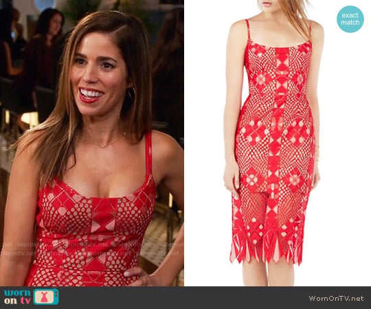 Bcbgmaxazria Alese Dress worn by Marisol Duarte (Ana Ortiz) on Devious Maids