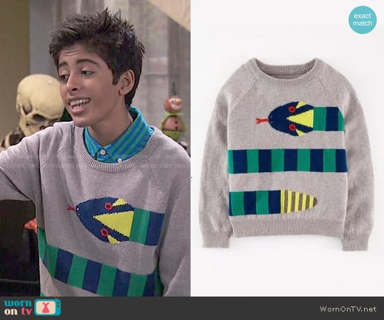 Boden Boy's Snake Pattern Sweater worn by Ravi Ross (Karan Brar) on Jessie