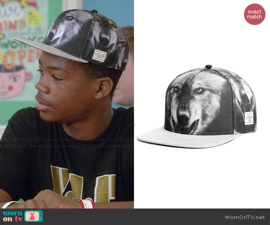 Cayler & Sons Big Bad Wolf Snapback worn by Astro on Red Band Society