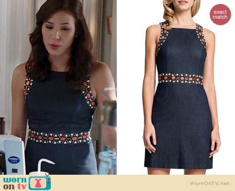 Cynthia Steffe Rosa Dress worn by Michaela Conlin on Bones