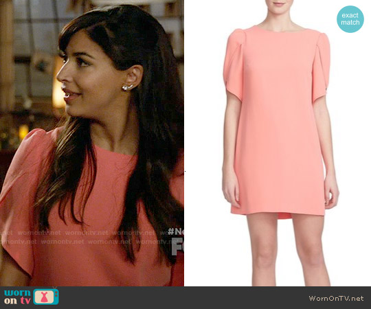 Cynthia Steffe 'Sunday' Crepe Shift Dress worn by Cece Parekh (Hannah Simone) on New Girl