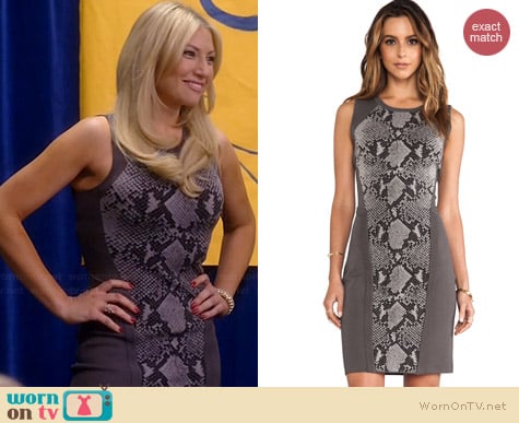 Diane von Furstenberg Franca Dress worn by Ari Graynor on Bad Teacher