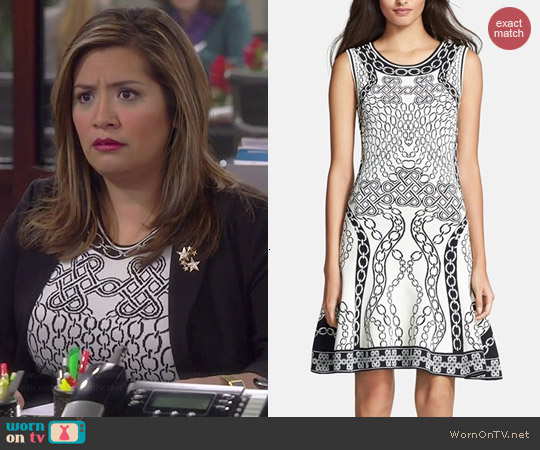 Diane von Furstenberg Sleeveless Fit & Flare Dress worn by Cristela Alonzo on Cristela