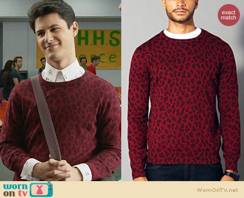 Forever 21 Mens Leopard Crew Neck Sweater in Burgundy worn by Michael Willett on Faking It