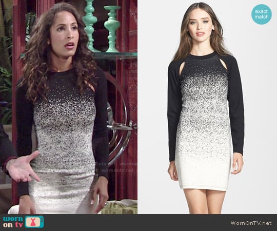 French Connection Ombre Dust Jersey Sheath Dress worn by Lily Winters (Christel Khalil) on The Young and the Restless