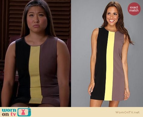 Glee Fashion: Vince Camuto Tri-Colorblocked Shift Dress worn by Jenna Ushkowitz