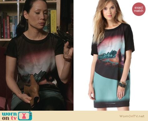 Joan Watson Fashion: Twelfth Street by Cynthia Vincent Shift Dress worn by Lucy Liu