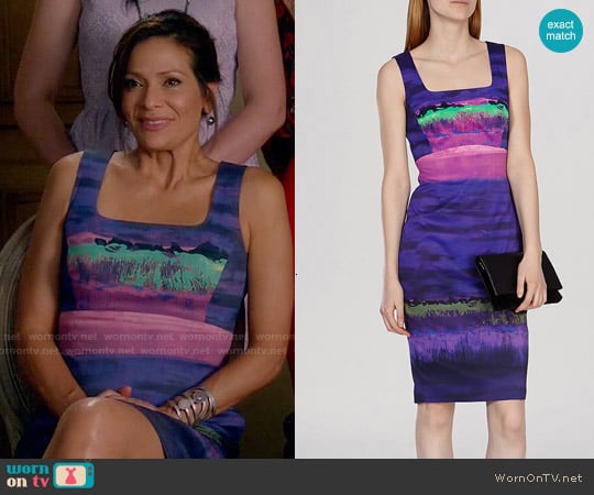 Karen Millen Painterly Stripe Dress worn by Regina Vasquez (Constance Marie) on Switched at Birth