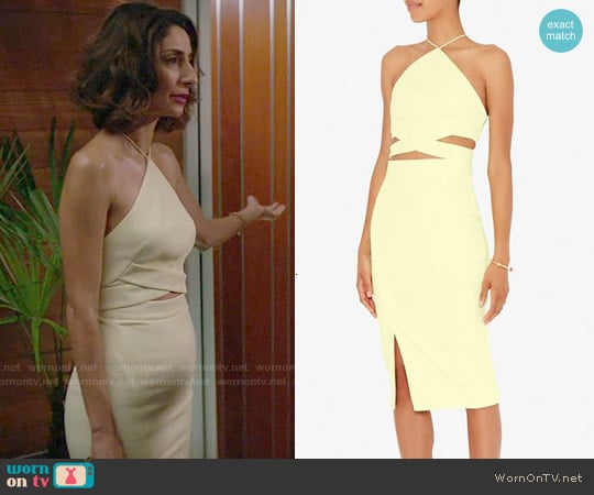 Nicholas Bonded Halter Crop Top and Pencil Skirt worn by Delia (Necar Zadegan) on Girlfriends Guide to Divorce