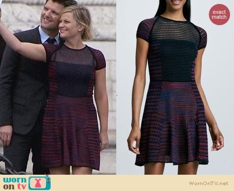 Parks & Rec Fashion: M Missoni Space Dye and Mesh dress worn by Amy Poehler