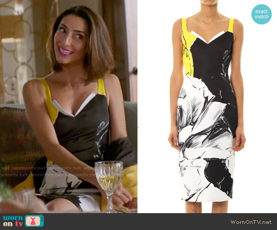 Prabal Gurung Classic Rose Print Fitted Dress worn by Delia (Necar Zadegan) on Girlfriends Guide to Divorce