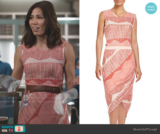 Bcbgmaxazria Mikela Dress worn by Angela Montenegro (Michaela Conlin) on Bones