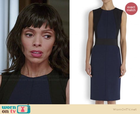 Sportmax Freda Dress worn by Tamara Taylor on Bones