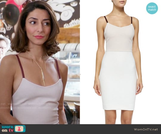 Victoria Beckham Strapped Tri-Colorblocked Sheath Dress worn by Delia (Necar Zadegan) on Girlfriends Guide to Divorce