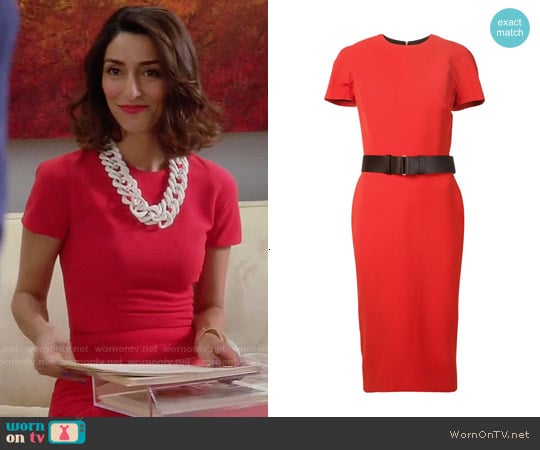 Victoria Beckham Short Sleeve Belted Dress worn by Delia (Necar Zadegan) on Girlfriends Guide to Divorce