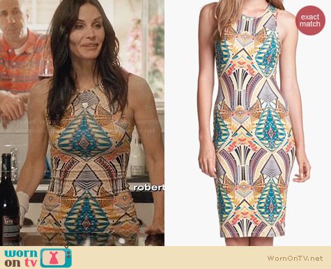 WAYF Print Bodycon Dress worn by Courtney Cox on Cougar Town