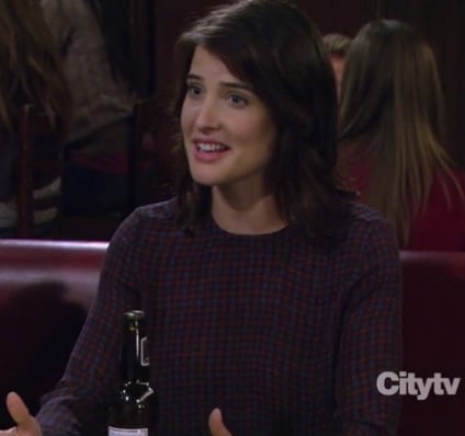 Robin's red longsleeve check print blouse on How I Met Your Mother