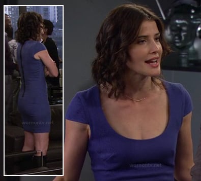 Robin's blue cap sleeve dress with exposed zip on How I Met Your Mother
