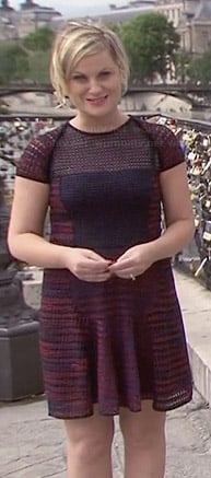 Leslie's purple mesh dress in Paris on Parks and Recreation