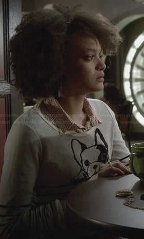 Remy's striped dog sweater on Ravenswood