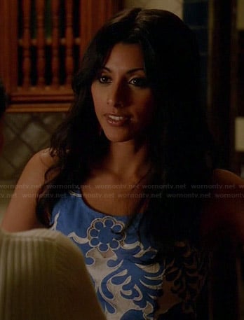 Divya's blue and white patterned dress on Royal Pains
