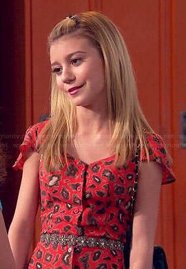Avery's red leopard print dress on Dog with a Blog
