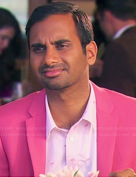 Tom's pink flamingo shirt on Parks and Recreation