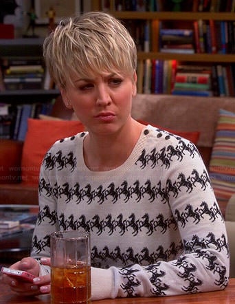Penny's horse print sweater on The Big Bang Theory