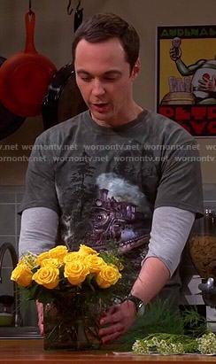 Sheldon's train graphic tee on The Big Bang Theory