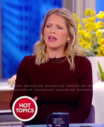 Sara's maroon long sleeved dress on The View