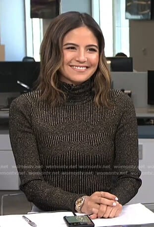 Erin's metallic ribbed turtleneck sweater on Live from E!