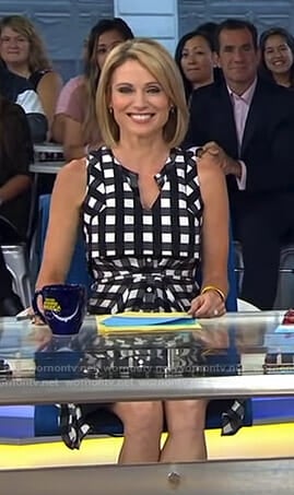 Amy's gingham check shirtdress on Good Morning America