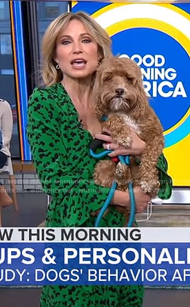 Amy's green printed wrap dress on Good Morning America