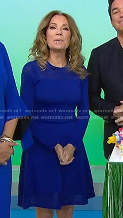 Kathie's blue mesh panel dress on Today
