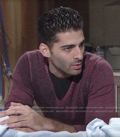 Arturo's purple v-neck sweater on The Young and the Restless
