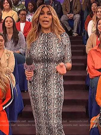 Wendy's snake print midi dress on The Wendy Williams Show