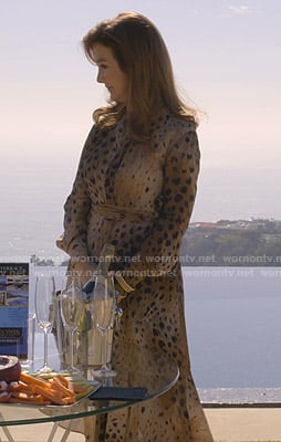 Lorna's beige leopard print dress on Dead to Me