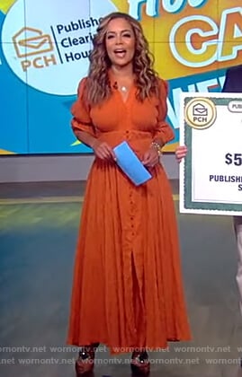 Sunny's brown button down dress on The View