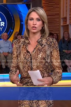 Amy's animal print dress on Good Morning America